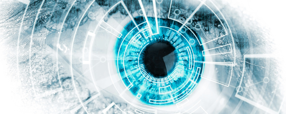 Widearea - Katarzyna Bernadetta Olszewska